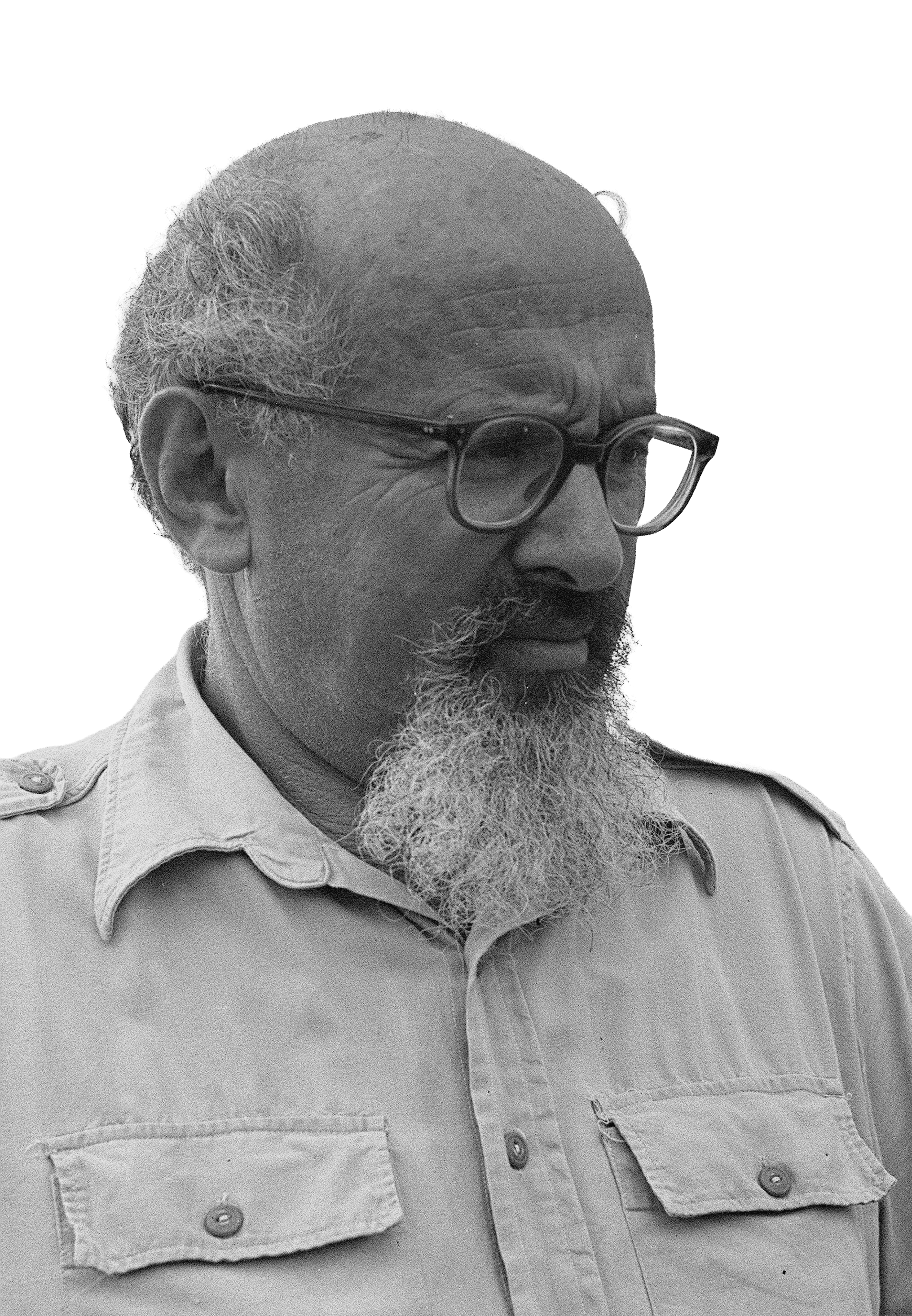 דיוקן יצחק שדה